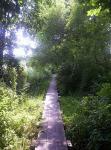 Habernis Moor 2005