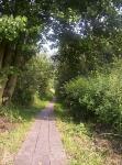 Habernis Moor 2005