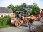 Mit viel Feingef�hl